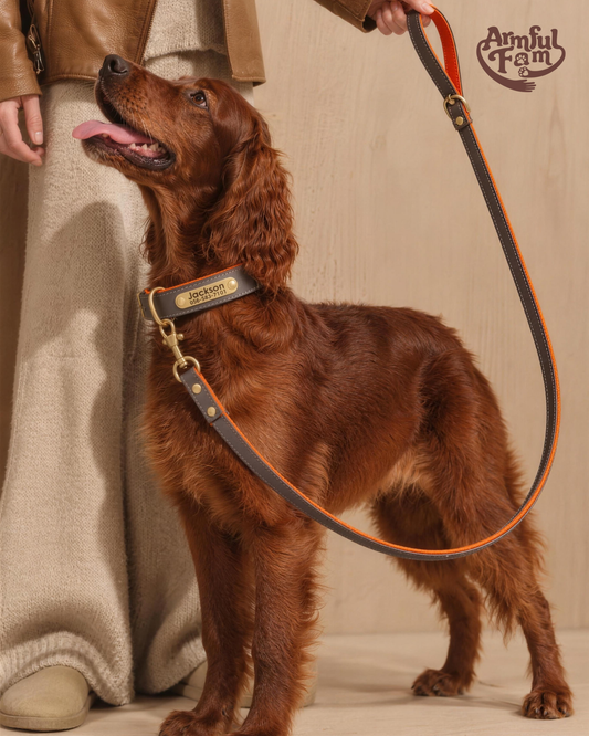 SafeTag Leash ー Bicolor